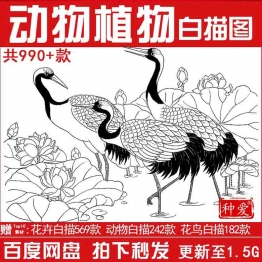 花鸟鱼虫竹虎牛马鸡鹰羊猫鹤动植物高清工笔白描线描国画底稿素材