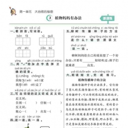 《素养提升手册》二年级上册语文预习 74页可打印PDF 小学2年级综合教学资料 家长在家亲子教育资源 广饶论坛中小学教育智慧平台