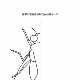 按照示范在圆圈内填上颜色