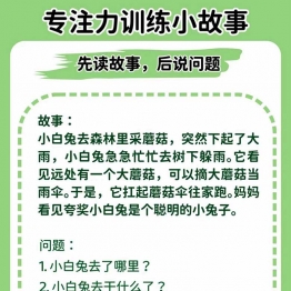 专注力训练小故事（先读故事，后说问题），12页PDF可打印