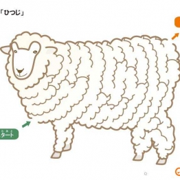 彩色插图迷宫【动物|生物】，幼儿早教迷宫游戏，19页PDF打印 简单迷宫 亲子游戏 广饶论坛中小学教育智慧平台