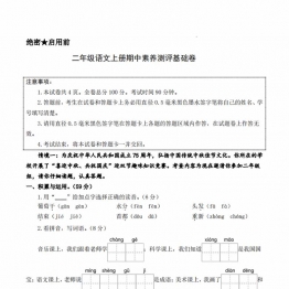 二年级上册语文期中素养测评基础卷（试卷+答题卡+答案解析18页），18页PDF可打印