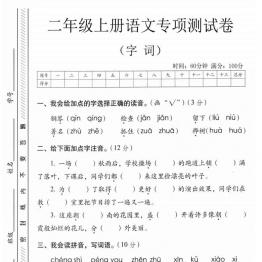 二年级上册语文字词专项测试卷，有答案5页PDF电子版
