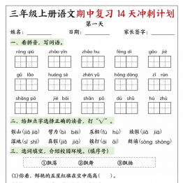 三年级上册语文期中复习14天冲刺计划，有答案16页PDF电子版学习资料