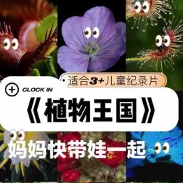 植物王国纪录片【3集英语版中英字幕1080P+ 4集国语版高清 MP4 】