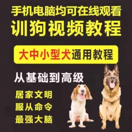 训狗教程训犬视频课程训犬师一对一指导宠物训练狗狗训练视频教学